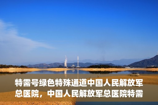 特需号绿色特殊通道中国人民解放军总医院，中国人民解放军总医院特需号绿色特殊通道，健康守护的新路径