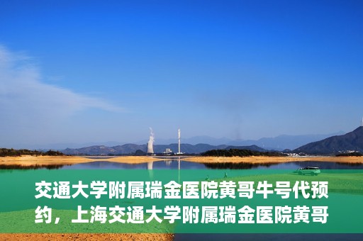 交通大学附属瑞金医院黄哥牛号代预约，上海交通大学附属瑞金医院黄哥牛号预约服务解析