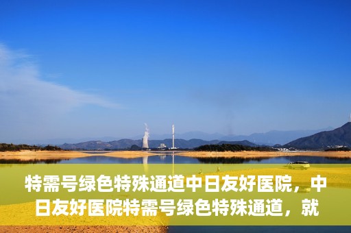 特需号绿色特殊通道中日友好医院，中日友好医院特需号绿色特殊通道，就医新体验