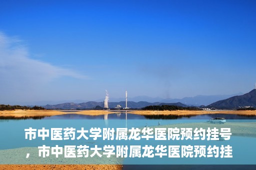 市中医药大学附属龙华医院预约挂号，市中医药大学附属龙华医院预约挂号攻略，一站式解决您的挂号难题