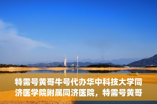 特需号黄哥牛号代办华中科技大学同济医学院附属同济医院，特需号黄哥牛号，同济医院代办服务的探索与实践