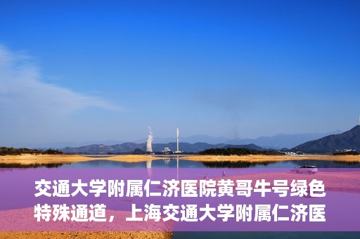 交通大学附属仁济医院黄哥牛号绿色特殊通道，上海交通大学附属仁济医院黄哥牛号绿色就医特殊通道解析