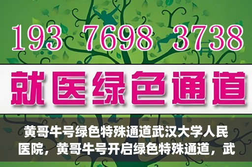 黄哥牛号绿色特殊通道武汉大学人民医院，黄哥牛号开启绿色特殊通道，武汉大学人民医院全力护航健康之路