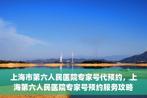 上海市第六人民医院专家号代预约，上海第六人民医院专家号预约服务攻略，便捷代预约体验