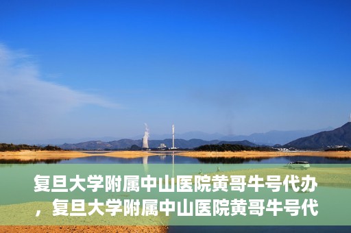 复旦大学附属中山医院黄哥牛号代办，复旦大学附属中山医院黄哥牛号代办，权威医疗资源的深度解读与便捷服务体验