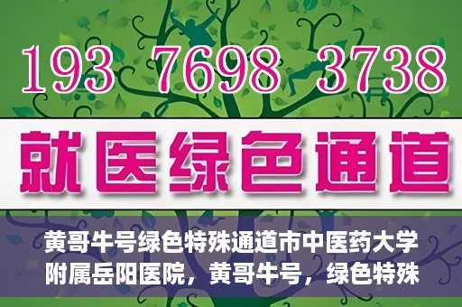 黄哥牛号绿色特殊通道市中医药大学附属岳阳医院，黄哥牛号，绿色特殊通道助力中医药大学附属岳阳医院健康前行