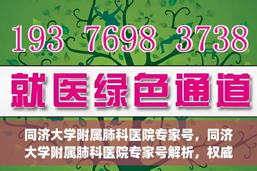 同济大学附属肺科医院专家号，同济大学附属肺科医院专家号解析，权威医疗团队的专业解读与诊疗服务