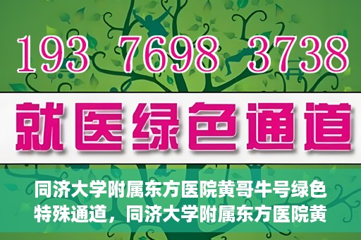 同济大学附属东方医院黄哥牛号绿色特殊通道，同济大学附属东方医院黄哥牛号，绿色特殊通道开启健康之门