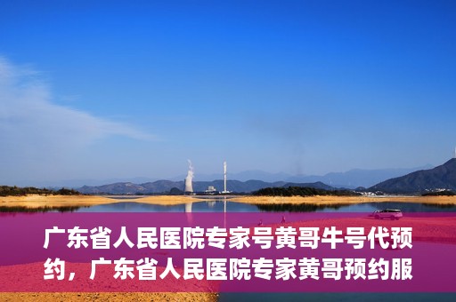 广东省人民医院专家号黄哥牛号代预约，广东省人民医院专家黄哥预约服务解析