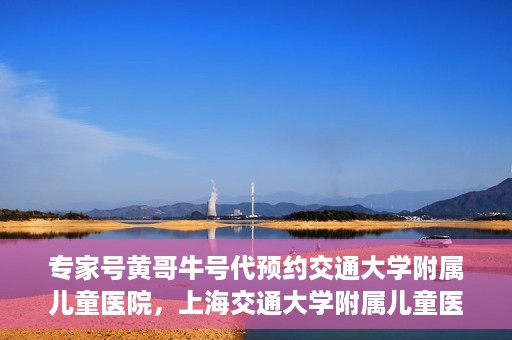 专家号黄哥牛号代预约交通大学附属儿童医院，上海交通大学附属儿童医院专家号黄哥牛号预约服务启动