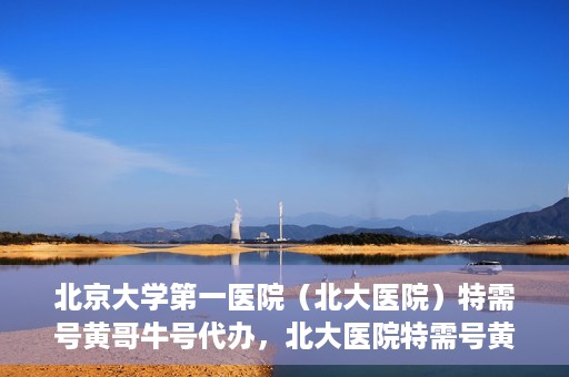 北京大学第一医院（北大医院）特需号黄哥牛号代办，北大医院特需号黄哥牛号代办，深度解析与揭秘