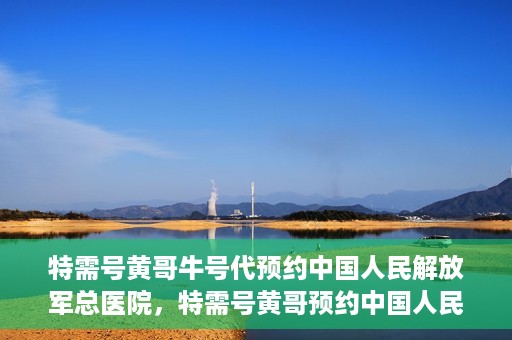 特需号黄哥牛号代预约中国人民解放军总医院，特需号黄哥预约中国人民解放军总医院，一站式便捷服务助您轻松就医。