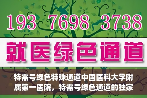 特需号绿色特殊通道中国医科大学附属第一医院，特需号绿色通道的独家实践，中国医科大学附属第一医院医疗服务的创新之路