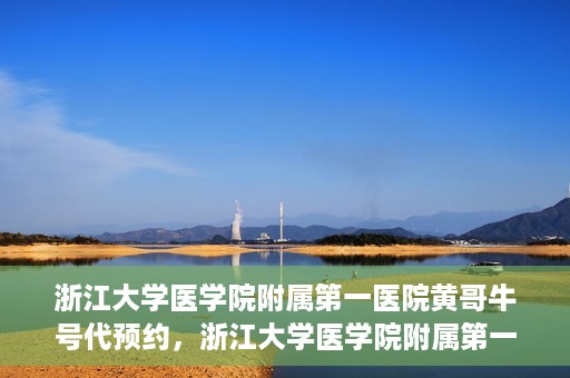 浙江大学医学院附属第一医院黄哥牛号代预约，浙江大学医学院附属第一医院黄哥牛号预约攻略揭秘