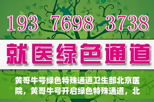 黄哥牛号绿色特殊通道卫生部北京医院，黄哥牛号开启绿色特殊通道，北京医院卫生部全力支持创新服务