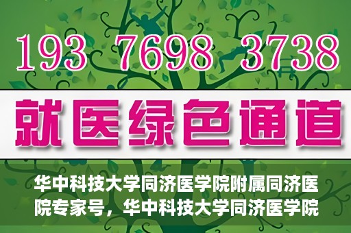 华中科技大学同济医学院附属同济医院专家号，华中科技大学同济医学院附属同济医院专家号解析，权威医疗团队的专业解读