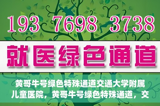 黄哥牛号绿色特殊通道交通大学附属儿童医院，黄哥牛号绿色特殊通道，交通大学附属儿童医院的探索与实践