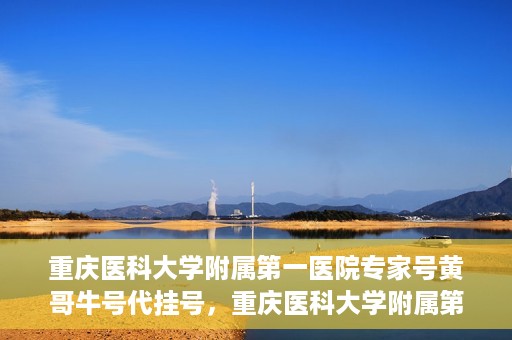 重庆医科大学附属第一医院专家号黄哥牛号代挂号，重庆医科大学附属第一医院专家号黄哥牛号预约挂号攻略