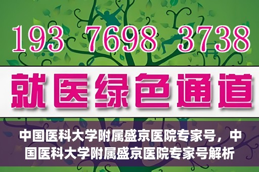 中国医科大学附属盛京医院专家号，中国医科大学附属盛京医院专家号解析，权威医疗团队与精准诊疗服务