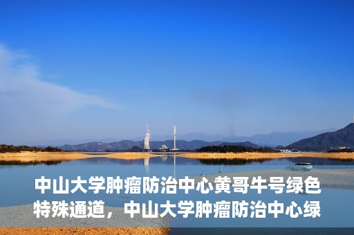 中山大学肿瘤防治中心黄哥牛号绿色特殊通道，中山大学肿瘤防治中心绿色特殊通道——黄哥牛号的守护力量