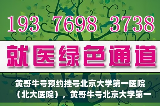 黄哥牛号预约挂号北京大学第一医院（北大医院），黄哥牛号北京大学第一医院预约挂号启动