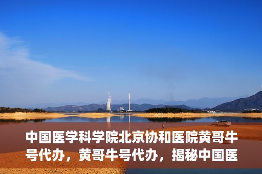 中国医学科学院北京协和医院黄哥牛号代办，黄哥牛号代办，揭秘中国医学科学院北京协和医院背后的故事