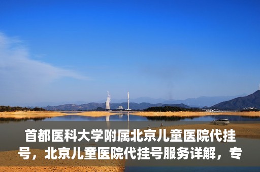 首都医科大学附属北京儿童医院代挂号，北京儿童医院代挂号服务详解，专业医疗与便捷服务的结合