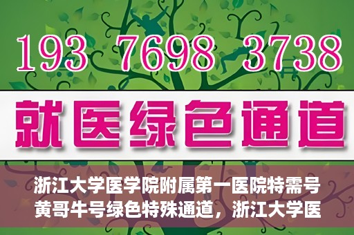 浙江大学医学院附属第一医院特需号黄哥牛号绿色特殊通道，浙江大学医学院附属第一医院特需号黄哥牛号绿色就医通道揭秘